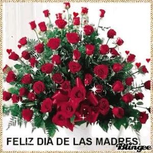 Meet your Posher, Yuliana